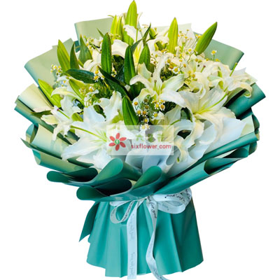 绥化8支白色多头百合洋甘菊，如潮的思念